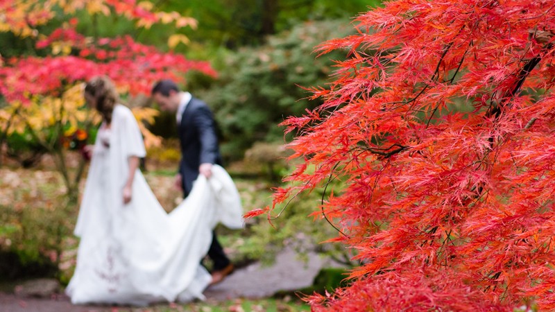 Beneficios de una boda en otoño