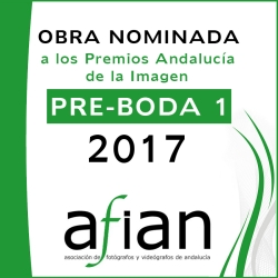 AFIAN PRE BODA I 2017