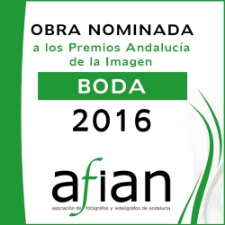 AFIAN BODA 2016