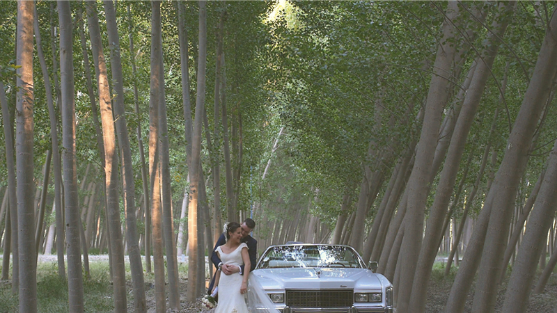 Hermoso paisaje de los novios en el bosque junto a un auto de epoca